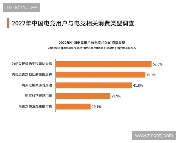 电子竞技崛起：全球电竞产业的未来发展趋势与挑战解析