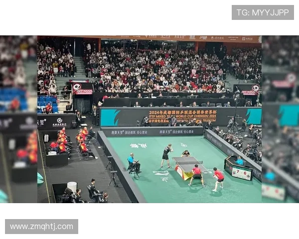 成都乒乓球队最新比赛经验分享TOP10助力乒乓球爱好者提升技艺