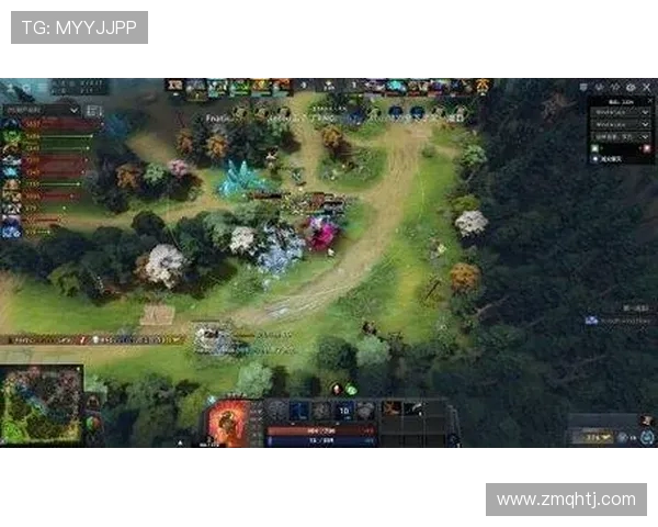 热议DOTA2RNG战术变革引发的战略思考与未来发展趋势分析