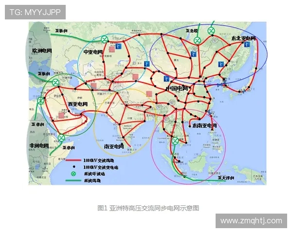 西安排球队意识提升之路：聚焦排球战术与团队协作的深度探讨